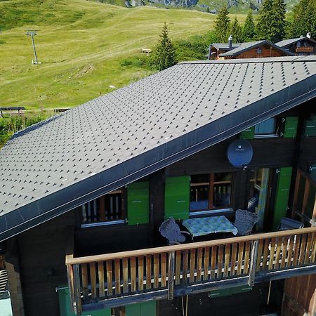 Apartament Eliane Bettmeralp Zewnętrze zdjęcie